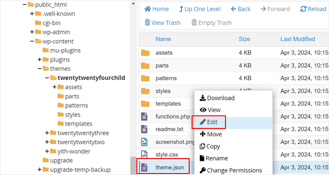 edit-theme-json-min