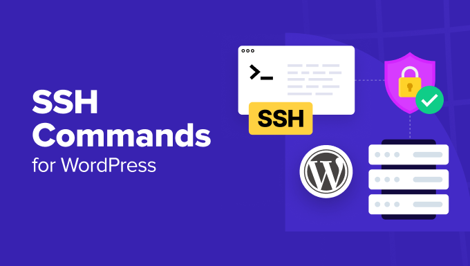 ssh-commands-every-user-should-know