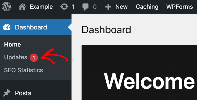 wordpress-dashboard-updatesbutton