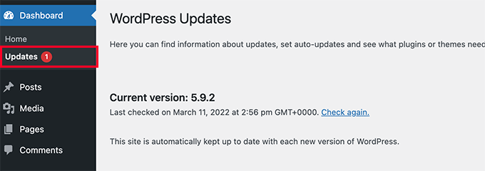 wordpress-updates