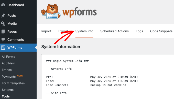 wordpress-wpforms-tools-systeminfo-2